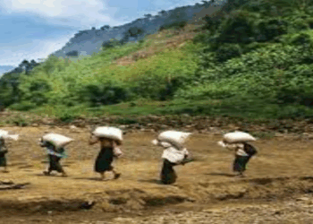পার্বত্য চট্টগ্রাম শান্তি চুক্তির ২৮ বছর পরও সহিংসতা: বিভাজনের মধ্যে পাহাড়ের জীবন