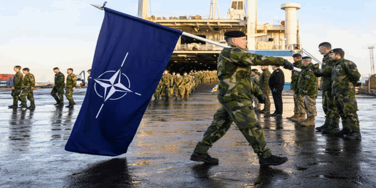 রাশিয়ার যুদ্ধ প্রস্তুতির সামনে ইউরোপ বিভক্ত: বিশেষজ্ঞদের সতর্কবার্তা