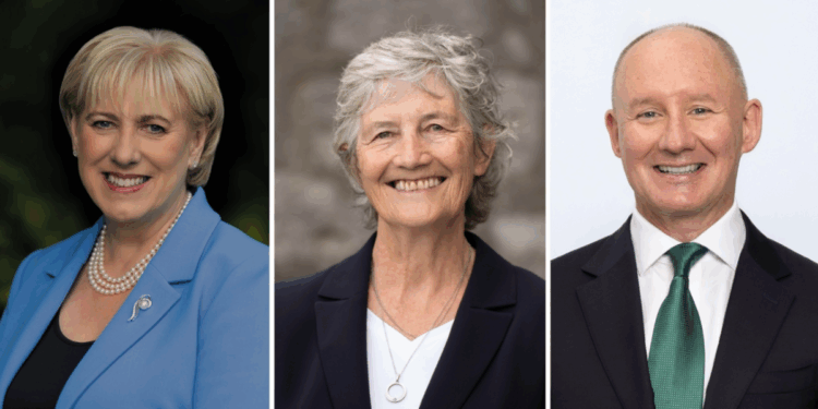 আয়ারল্যান্ডের প্রেসিডেন্ট নির্বাচন: কারা প্রার্থী এবং কী ঝুঁকিতে রয়েছে দেশ