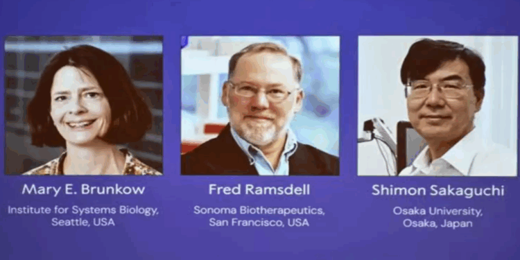 নিজ দেহকে আক্রমণ না করার রহস্য উদ্ঘাটনে তিন বিজ্ঞানীর নোবেল জয়