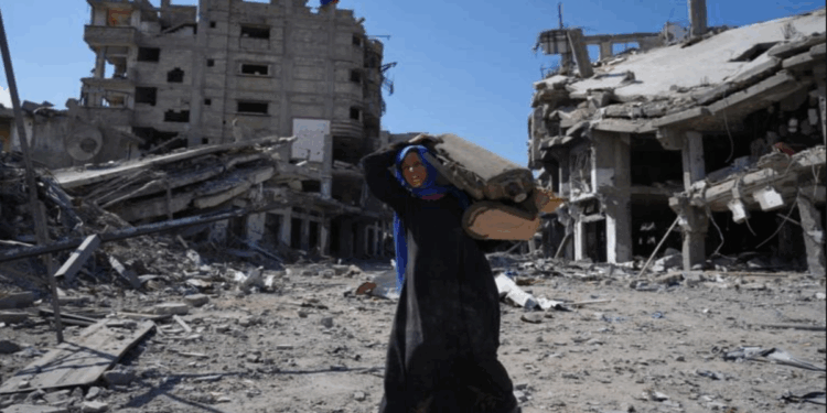 “যুদ্ধ থেকে বেঁচে ফিরলেও যুদ্ধবিরতি থেকে বাঁচতে পারব না”: গাজায় ইসরায়েলের অব্যাহত হত্যাকাণ্ড