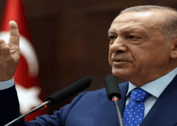 সন্ত্রাসমুক্ত তুরস্ক: নিজস্ব উদ্যোগে শান্তি প্রতিষ্ঠায় আঞ্চলিক ভূ-রাজনীতিতে নতুন দিগন্ত