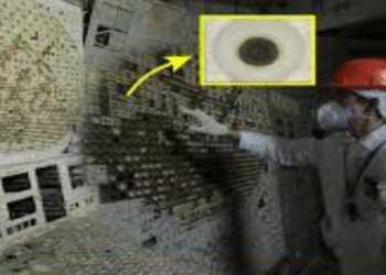 চেরনোবিলের কালো ছত্রাক, যা হয়তো বিকিরণ খেয়ে বাঁচতে পারে