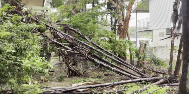 উত্তর অস্ট্রেলিয়ায় ঘূর্ণিঝড় ফিনা আঘাতের পর ক্ষয়ক্ষতি মূল্যায়ন শুরু