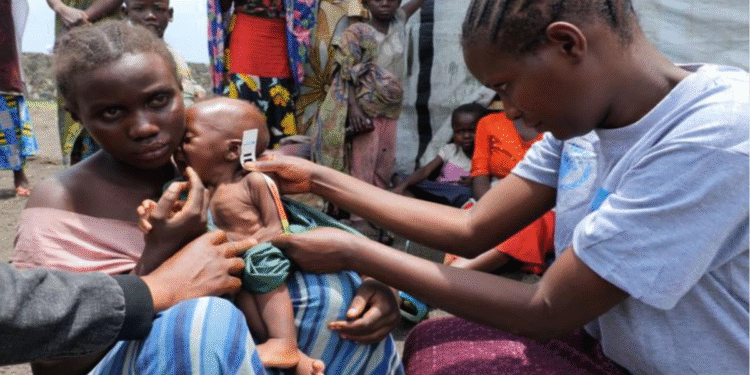 কঙ্গোর পূর্বাঞ্চলে ক্ষুধার করাল ছায়া, জাতিসংঘের সতর্কবার্তা