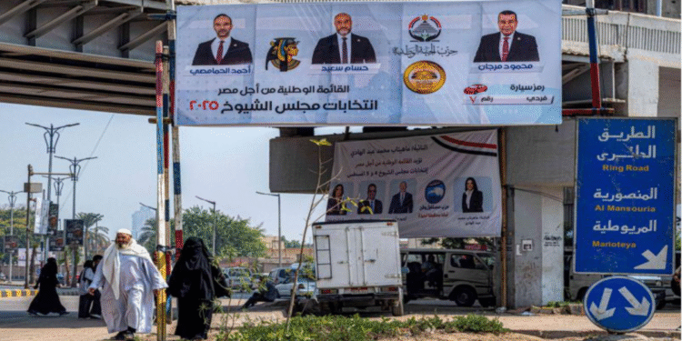 মিশরে সংসদ নির্বাচন শুরু, নতুন অধ্যায়ের দ্বারপ্রান্তে দেশ