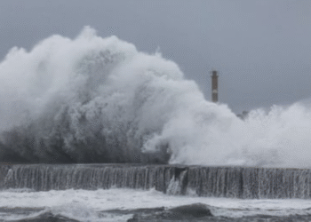 তাইওয়ানে ফাং-ওয়ং ঝড়ের তাণ্ডব, তিন হাজারেরও বেশি মানুষ ঘরবাড়ি ছেড়ে আশ্রয়ে