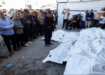 কায়রোতে মিসরের গোয়েন্দা প্রধানের সঙ্গে হামাসের বৈঠক, গাজায় নতুন হামলায় বিপন্ন যুদ্ধবিরতি