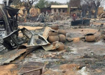 দারফুরে যুদ্ধাপরাধ করছে আরএসএফ, নতুন প্রতিবেদনে অ্যামনেস্টির অভিযোগ