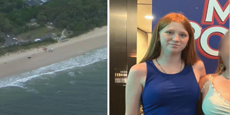 অস্ট্রেলিয়ায় হাঙরের হামলায় তরুণী নিহত, গুরুতর আহত এক যুবক