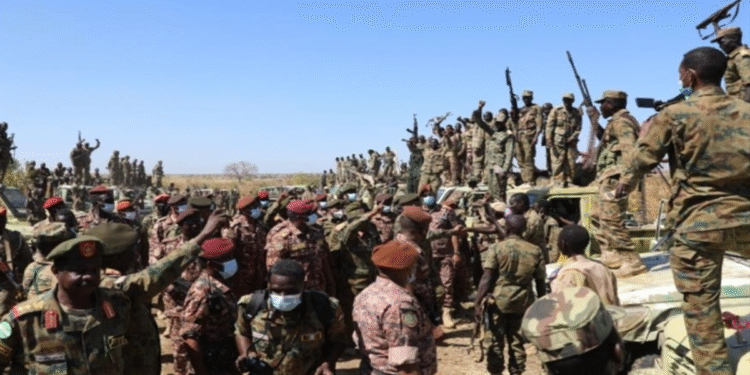 উত্তর কোরদোফানে সেনা অগ্রযাত্রা, এল ফাশেরে নতুন করে লুকোনো মৃত্যুর প্রমাণ