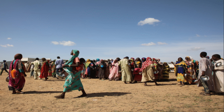 সুদানের পরিবারগুলো যুদ্ধের আগুন থেকে পালিয়ে দারিদ্র্যগ্রস্ত চাদ পৌঁছাচ্ছে