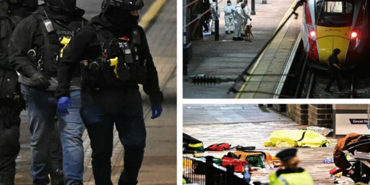 ক্যামব্রিজশায়ারে ট্রেনে ছুরিকাঘাত: ১০ জন হাসপাতালে, দুই সন্দেহভাজন আটক