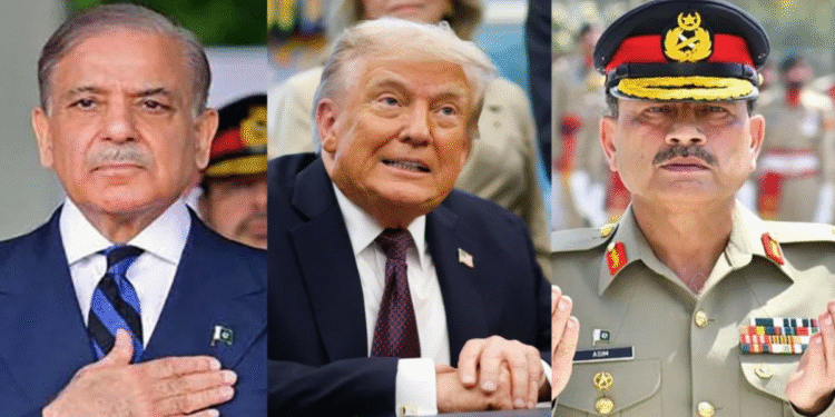 “আমেরিকার আছে এমন পরমাণু শক্তি, যা দুনিয়াকে ১৫০ বার ধ্বংস করতে পারে” — দাবি ট্রাম্পের