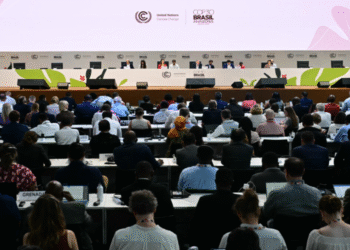 COP30 জলবায়ু চুক্তি: বিশ্বনেতা ও মানবাধিকার সংগঠনের মিশ্র প্রতিক্রিয়া