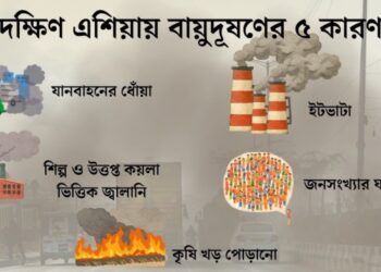 বাতাসে বিষ, অবহেলায় আয়ু কমছে ৬ বছর