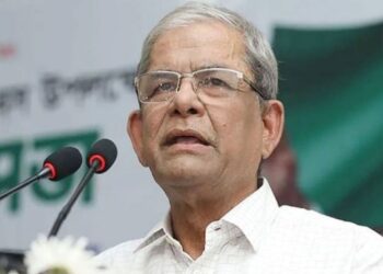 বর্তমান সংকট অন্তর্বর্তী সরকার তৈরি করেছে: মির্জা ফখরুল