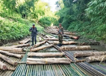 খাগড়াছড়িতে সেনা অভিযানে কোটি টাকার কাঠ জব্দ