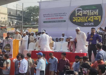 সংবিধান অনুযায়ী গণভোট না হলে ২০২৯ সালে নির্বাচন: হামিদুর রহমান আযাদ