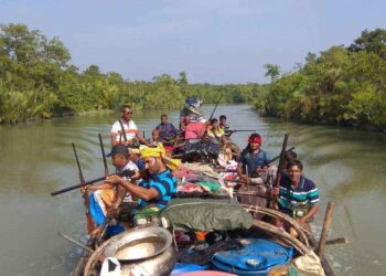 ‘দস্যুমুক্ত’ সুন্দরবনে ফিরছে পুরোনো ভয়, আতঙ্কে বনজীবীরা
