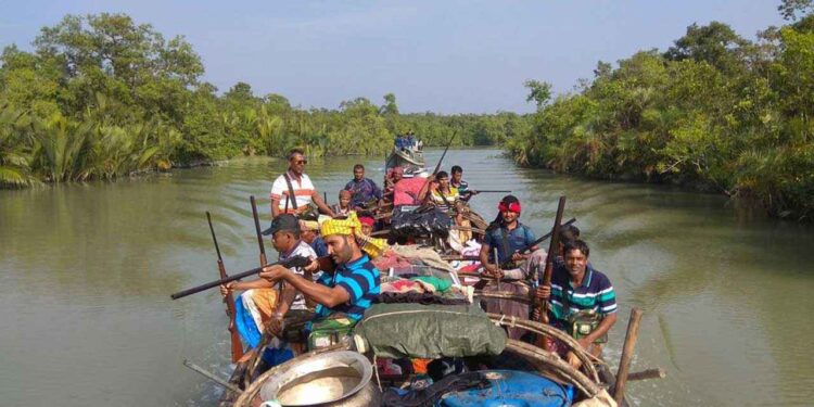 ‘দস্যুমুক্ত’ সুন্দরবনে ফিরছে পুরোনো ভয়, আতঙ্কে বনজীবীরা