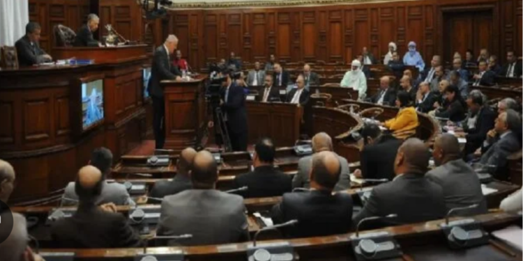 ফরাসি ঔপনিবেশিক শাসনকে অপরাধ হিসেবে ঘোষণা করতে আলজেরিয়ার নতুন বিল