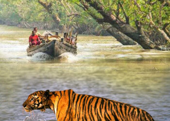 শীতে ঘুরতে যাওয়ার জন্য দেশের মধ্যে কিছু সেরা জায়গা