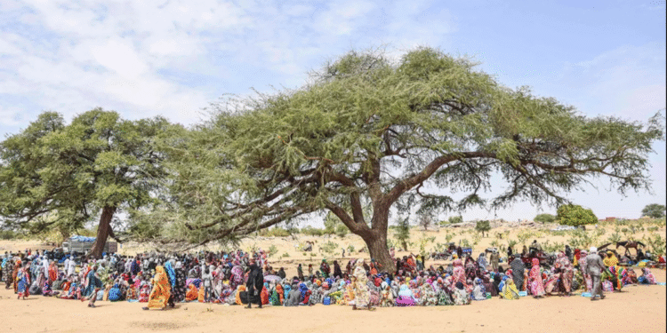 পশ্চিমা শান্তির নামের ভ্রান্ত ধারণা
