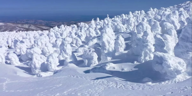 জাপানের বিলীন হতে বসা ‘তুষার দানব’: জাও পর্বতের নিঃশব্দ মৃত্যু এবং পুনর্জাগরণের লড়াই