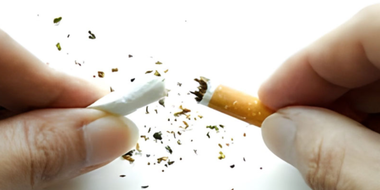 তামাকের আর্থিক ক্ষতি রাজস্বের দ্বিগুণ, বিদ্যালয়ের আশপাশে অনিয়ন্ত্রিত বিক্রি উদ্বেগ বাড়াচ্ছে