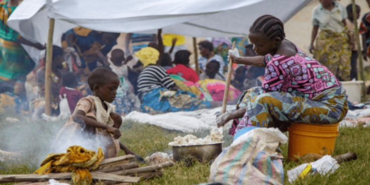 এম২৩ বিদ্রোহীদের দখলের পর ডিআর কঙ্গোর উভিরায় ধীরে ধীরে ফিরছে মানুষ