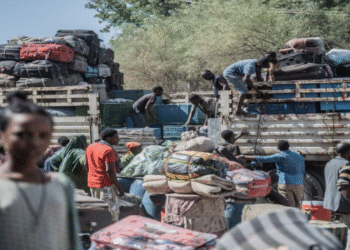 ইউরোপের নীতির ভুলে সুদানের যুদ্ধবাজদের শক্তি বেড়েছে