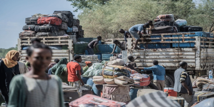 ইউরোপের নীতির ভুলে সুদানের যুদ্ধবাজদের শক্তি বেড়েছে