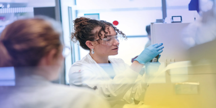 যুক্তরাজ্যের গবেষণা ভিসায় কঠোরতা অর্থনীতিকে ঝুঁকিতে ফেলছে: শীর্ষ বিজ্ঞানীর সতর্কতা