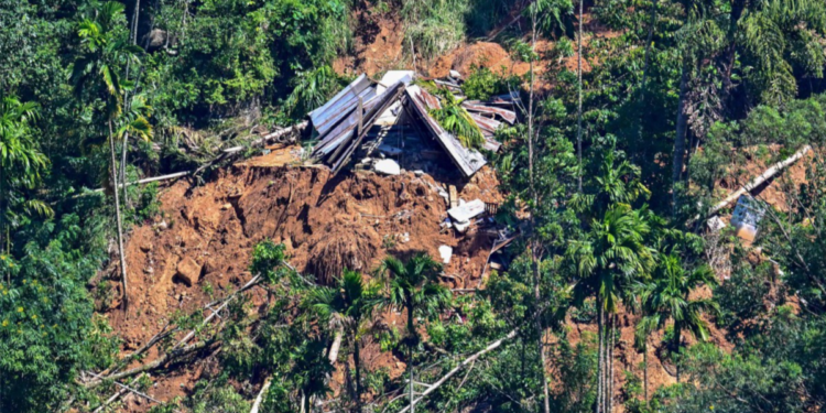 ধ্বংসস্তূপে পরিণত চা-বাগান: সাইক্লোন ডিটওয়ার ভয়াবহতায় বিপর্যস্ত শ্রীলঙ্কা