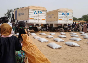 সুদানে যুদ্ধ চলতে থাকায় ভয়াবহ মানবিক সংকটের সতর্কবার্তা দিয়েছে বিশ্ব খাদ্য কর্মসূচি