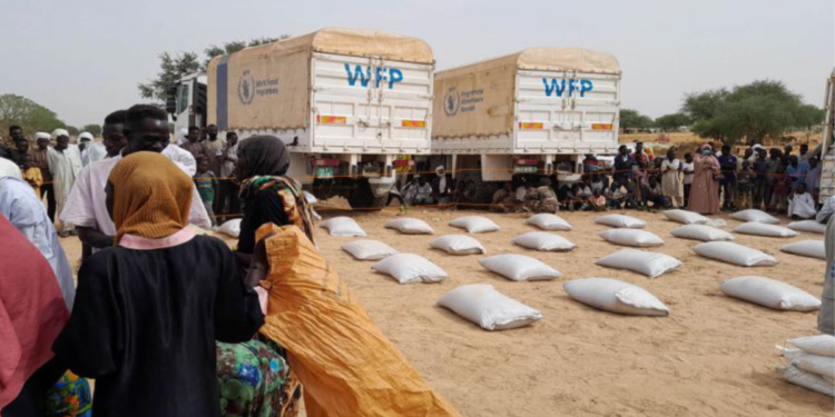 সুদানে যুদ্ধ চলতে থাকায় ভয়াবহ মানবিক সংকটের সতর্কবার্তা দিয়েছে বিশ্ব খাদ্য কর্মসূচি