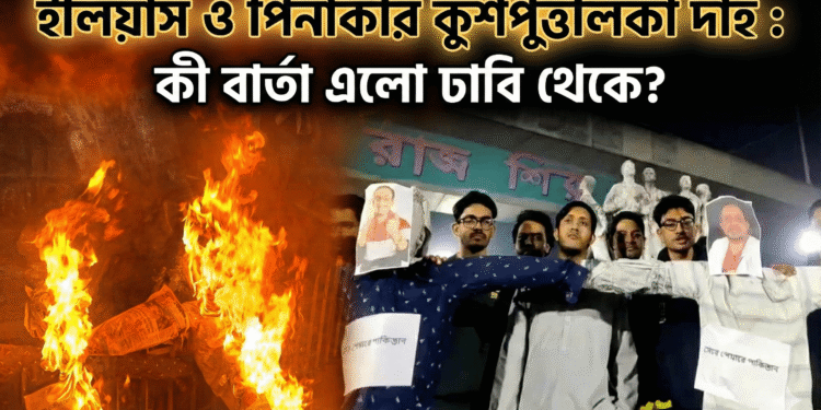 ইলিয়াস ও পিনাকীর কুশপুত্তলিকা দাহ : কী বার্তা এলো ঢাবি থেকে?