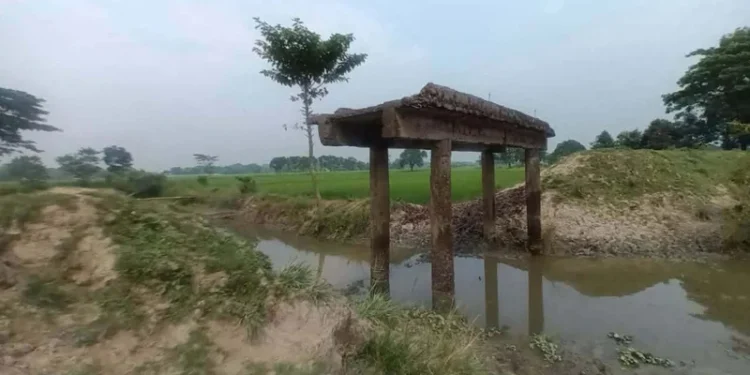 ৩০ বছরেও শেষ হয়নি নান্দাইলের বাপাইল বিলে নির্মিত সেতু