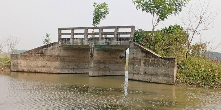 রাস্তা ছাড়াই দাঁড়িয়ে আছে ২০ লাখ টাকার সেতু, এক দশকেও কাজে আসেনি