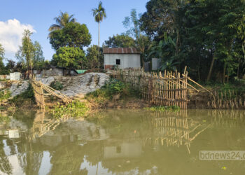 কুড়িগ্রামে স্বেচ্ছাশ্রমে বাঁশের বাঁধ—জিঞ্জিরাম নদীর ভাঙন থেমে রক্ষা ৪০০ পরিবার