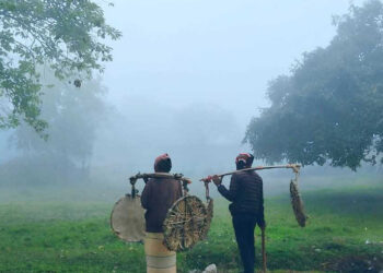 তেঁতুলিয়ায় তাপমাত্রা ৮ ডিগ্রির ঘরে, মৃদু শৈত্যপ্রবাহ অব্যাহত
