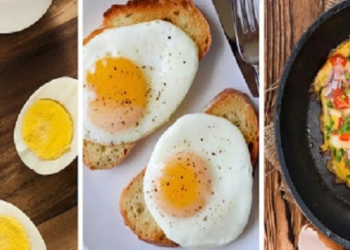 প্রতিদিন ডিম খেলে কি কোলেস্টেরল বাড়ে? যা বলছেন বিশেষজ্ঞরা