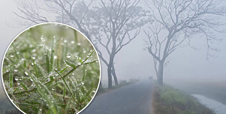 বৃষ্টির মতো ঝরছে কুয়াশা ধেয়ে আসছে তীব্র শৈত্যপ্রবাহ