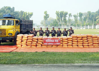 ব্রাহ্মণবাড়িয়ায় কোটি টাকার ভারতীয় জিরা জব্দ করল বিজিবি