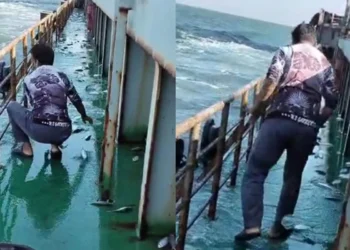 গভীর সমুদ্রে বিস্ময়: শিকারির তাড়ায় জাহাজে লাফিয়ে উঠল তিন মণ রুপালি ইলিশ