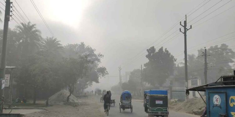 সূর্যের দেখা নেই টানা দুই দিন, শীতে কাঁপছে চুয়াডাঙ্গা