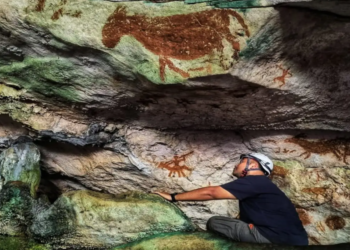 ইন্দোনেশিয়ার মুনা দ্বীপে বিশ্বের প্রাচীনতম গুহাচিত্রের সন্ধান