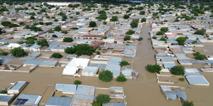 দক্ষিণ আফ্রিকায় বন্যা, নিহতের সংখ্যা ১০০ ছাড়িয়েছে