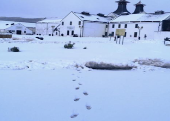 ভারী তুষারপাতে জাপানের পাহাড়ি মন্দিরে শতাধিক মানুষের রাত কাটানো